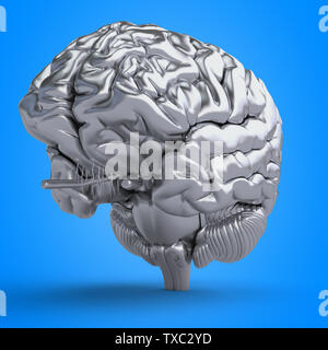 3d rendered illustration of a brain Stock Photo