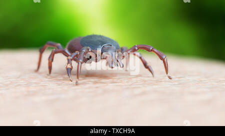 3d rendered illustration of a tick crawling on human skin Stock Photo