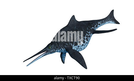 3d rendered illustration of a Shonisaurus Stock Photo