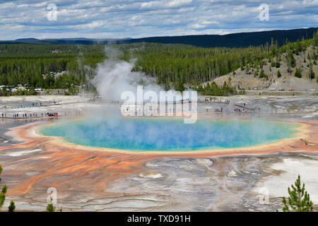 Grand Prismatic Spring view from the Trail head Overlook Stock Photo