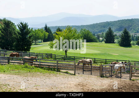 Rural Virginia horse farm Stock Photo - Alamy