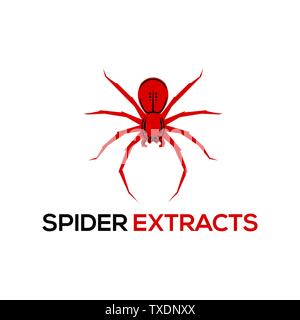 Spider Studio - Logo Template Stock Vector
