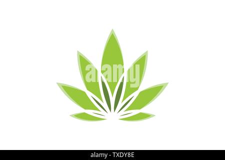 cannabis leaf logo Designs Inspiration Isolated on White Background Stock Vector