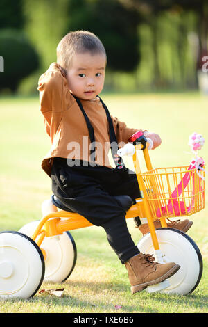 Little boy riding a tricycle Stock Photo