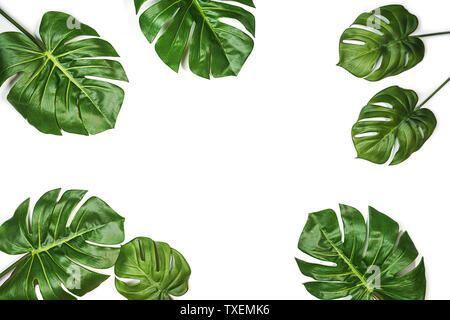 Tropical leaves Monstera isolated, Swiss Cheese Plant, isolated on white background. Stock Photo