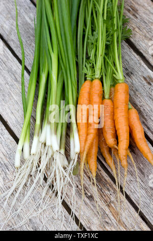 Baby carrots and salad onions on a table top Stock Photo