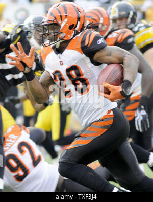 Dec. 18, 2011 - Saint Louis, Missouri, U.S - Cincinnati Bengals tight end  COLIN COCHART (81) runs defense for Cincinnati Bengals running back BERNARD  SCOTT (28) as he carries the ball against