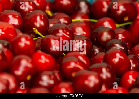 Close up of pile of ripe cherries with stalks and leaves. Large collection of fresh red cherries. Ripe cherries background. Stock Photo