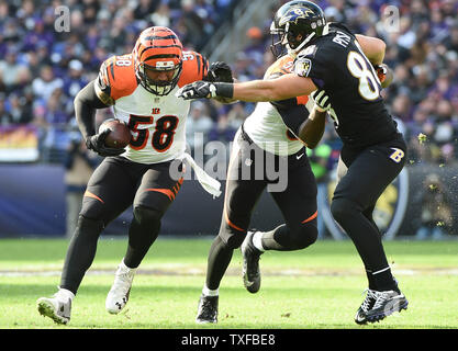 Cincinnati Bengals linebacker Rey Maualuga adjusts his hair during practice  at NFL football training camp on Wednesday, Aug. 10, 2011, in Georgetown,  Ky. (AP Photo/Al Behrman Stock Photo - Alamy