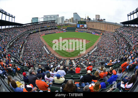 Baseball fans watch during the fifth inning of a baseball game between