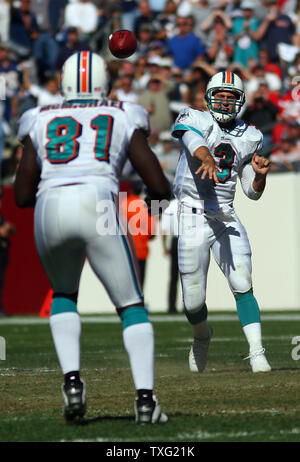 Miami Dolphins tight end Joey Haynos looks for a pass interference call  against the Tampa Bay Buccaneers in fourth-quarter action at Land Shark  Stadium in Miami, Florida, Sunday, November 15,2 009. The