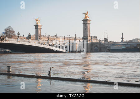 Alexander III, the rising waters of the Seine in Paris, France. Stock Photo