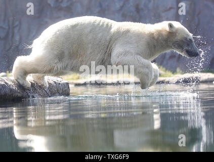 Day was hot, Bears were hotter