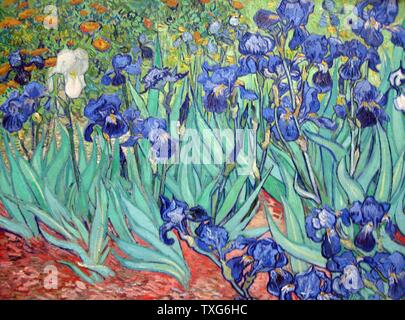 Vincent Van Gogh Dutch school Irises 1889 Oil on canvas (74.3 x 94.3 cm) Los Angeles, J. Paul Getty Museum Stock Photo