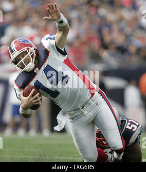 Buffalo Bills quarterback Ryan Fitzpatrick is sacked by New England Patriots linebacker Jerod Mayo in the second quarter at Gillette Stadium in Foxboro, Massachusetts on September 26, 2010.  The Patriots defeated the Bills 38-30.    UPI/Matthew Healey Stock Photo