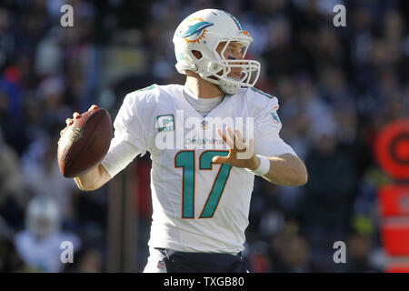 Miami dolphins quarterback ryan tannehill hi-res stock photography and  images - Alamy