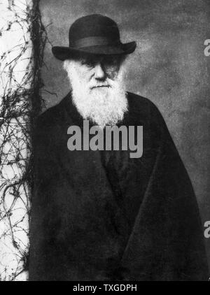 Photographic portrait of Charles Darwin (1809-1882) English naturalist and geologist. Photographed by Julia Margaret Cameron (1815-1879) British photographer. Dated 1870 Stock Photo