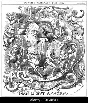 Man is but a worm Cartoon from 'Punch', London, 6 December 1881, the year in which Darwin published 'The Formation of Vegetable Mould through the action of Worms', showing evolution from worm to man, watched by Charles Darwin (1802-1882) Wood engraving Stock Photo