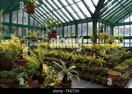 The Fern House at the Government Botanical Gardens, Ooty (Udhagamandalam), Tamil Nadu, India