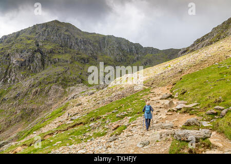 A walker on the Pyg Track heading towards Snowdon (3,560ft), Snowdonia National Park, Gwynedd, Wales, UK Stock Photo