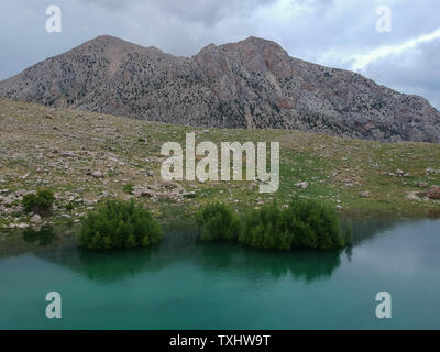 Partially submerged trees and mountain background. Arial photograph Green Lake, Turkey Stock Photo