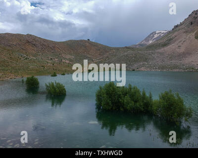 Arial photograph of partially submerged trees on Green Lake, Turkey Stock Photo