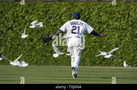 Chicago Cubs right fielder Milton Bradley chases away seagulls as he runs to his position before the start of the eighth inning against the Los Angeles Dodgers at Wrigley Field in Chicago on May 30, 2009. (UPI Photo/Brian Kersey) Stock Photo