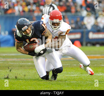 Chicago Bears wide receiver Johnny Knox (13) reacts after a 24-yard  touchdown reception against the