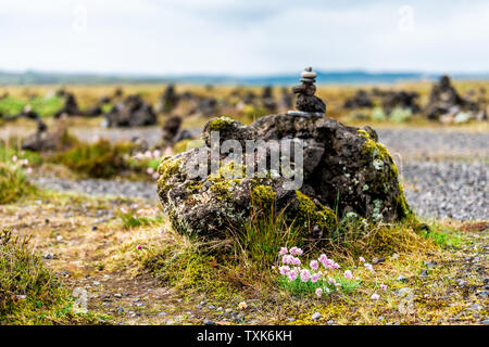 Landscape closeup of rock cairns in Laufscalavarda, South Iceland with mossy ground and pink sea thrift flowers by black lava stone cairn Stock Photo