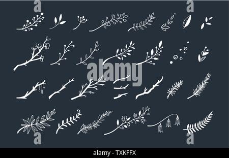 Vector hand drawn vintage floral elements. Set of forest doodle flowers and brunches for Wedding, Birthday Stock Vector