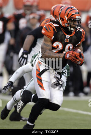 Dec. 18, 2011 - Saint Louis, Missouri, U.S - Cincinnati Bengals tight end  COLIN COCHART (81) runs defense for Cincinnati Bengals running back BERNARD  SCOTT (28) as he carries the ball against