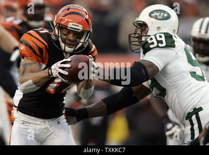 Cincinnati wide receiver Laveranues Coles (11) during game action at the  Oakland Coliseum, also known as the ''Black Hole'' in Oakland, Claif. on  Sunday. The Oakland Raiders defeated the Cincinnati Bangles 20-17. (