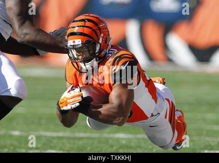 Cedric Peerman of the Cincinnati Bengals is brought down by Kenny News  Photo - Getty Images