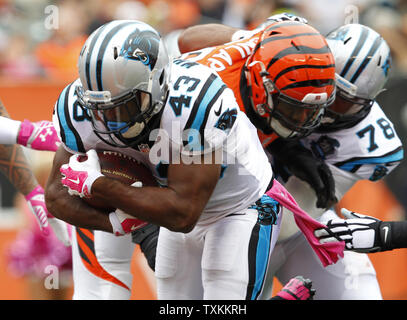 Carolina Panthers running back Fozzy Whittaker, foreground, celebrates his  touchdown against the New England Patriots with Christian McCaffrey, left,  during the first half of an NFL football game, …