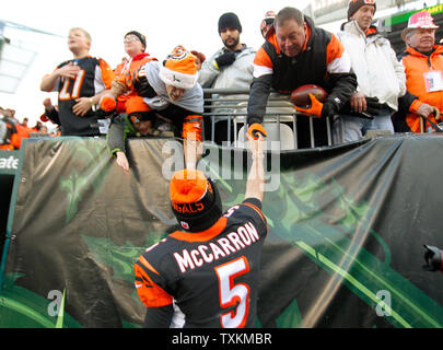 Cincinnati Bengals quarterback AJ McCarron prepares to pass in the first  half of an NFL football game against the Baltimore Ravens, Sunday, Jan. 3,  2016, in Cincinnati. (AP Photo/Frank Victores Stock Photo 