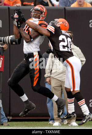 03 January 2010: Cincinnati Bengals quarterback Carson Palmer (9) drops  back to pass during the New York Jets 37-0 win over the Cincinnati Bengals  at Giants Stadium in East Rutherford, NJ (Icon