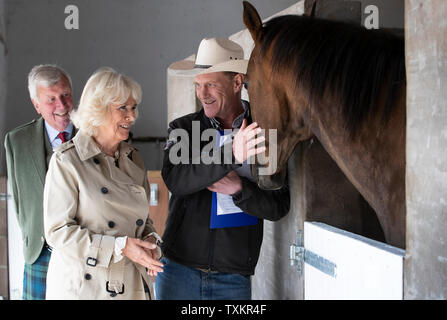 The Duchess of Cornwall, who is known as the Duchess of Rothesay when in Scotland, meets founder Jock Hutchison with Brook the horse during a visit to HorseBack UK, in South Ferrar, Aboyne. The charity which supports veterans and children is celebrating its 10th birthday. Stock Photo