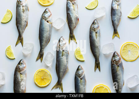 Fresh bluefish with lemon on white background. Fish pattern. View from above. Flat lay. Stock Photo