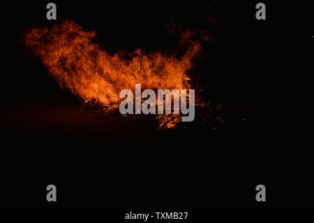 A big wood fire in the night Stock Photo