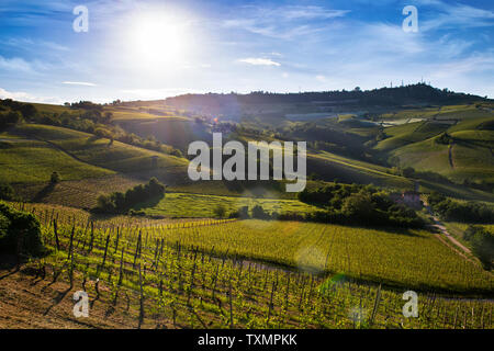 Wonderful vineyards and woods on the Sarmassa hillside located in the Municipality of Barolo Piedmont Italy, the sky is blue with beautiful clouds Stock Photo