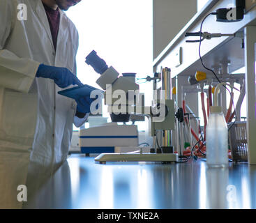 Young male scientist using digital tablet in laboratory, cropped surface level view Stock Photo