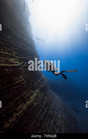 Female diver filming white tipshark, Revillagigedo Islands, Socorro, Baja California, Mexico Stock Photo