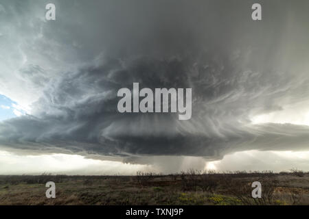 Landscape with massive supercell in the Eastern Texas panhandle, USA. Massive baseball-sized hail fell with this storm