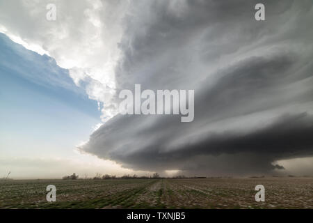 Landscape with massive supercell in the Eastern Texas panhandle, USA. Massive baseball-sized hail fell with this storm