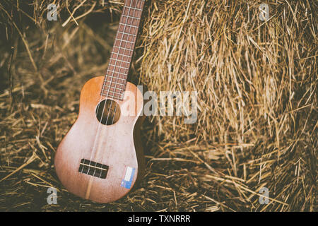 A brown classic guitar laying on the brown haystack in the farm. A pile of hay on the farm. Stock Photo