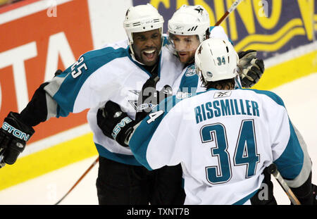 Curtis Brown of the San Jose Sharks looks on prior to a game against  News Photo - Getty Images