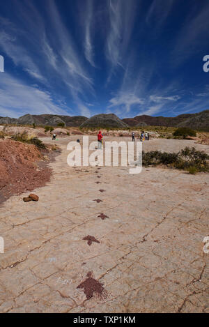 Dinosaur footprints in Torotoro National Park, Torotoro, Bolivia Stock Photo