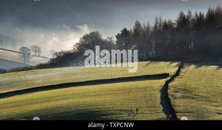 Fields above Bamford in morning mists Stock Photo