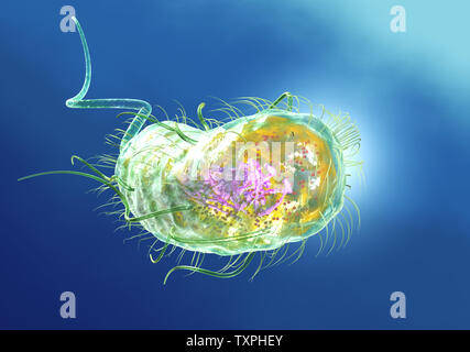 3d Escherichia Coli (E. Coli.) cells or bacteria under microscope. 3d ...