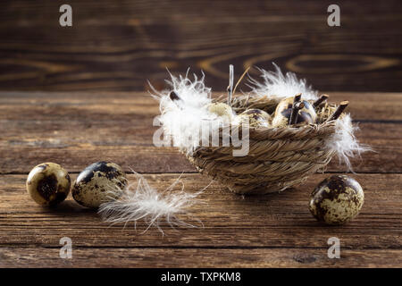 Quail eggs in a nest on a wooden table. Stock Photo